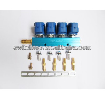 CNG Injector Rail-12V/3Ohms CNG/LPG 4 Cylinder Injector Rail